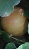 20160806_163124.jpg