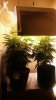 20160731_104557.jpg