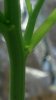 20160706_150057.jpg