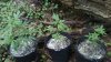 20160808_111932.jpg