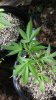 20160809_152628.jpg