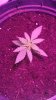 image.jpeg image.jpeg