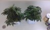 20160811_093439.jpg