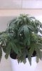 20160811_093452.jpg