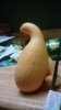 IMG_20160810_235940.jpg