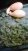 IMG_20160811_000020.jpg