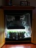 AK Auto Grow #1 - Day 28 (3).jpg AK Auto Grow #1 - Day 28 (3).jpg