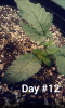 Screenshot_2016-08-12-18-16-05.png