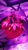 20160814_225316.jpg
