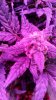 20160814_225221.jpg