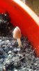 20160814_144705.jpg