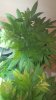 20160815_133436.jpg