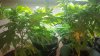 20160815_133458.jpg