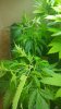 20160815_133507.jpg