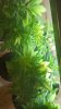 20160815_133445.jpg