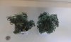 20160816_161033.jpg