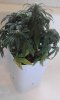 20160816_161110.jpg