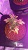 20160816_082728.jpg
