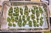 Ultra_haze_budtray.jpg