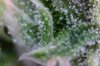 Photo on 8-17-16 at 11.52 AM.jpg