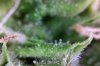 Photo on 8-17-16 at 11.53 AM.jpg