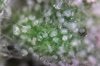 Photo on 8-17-16 at 11.57 AM.jpg
