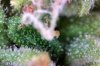 Photo on 8-17-16 at 12.01 PM.jpg