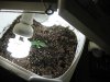 Day 05-2.JPG