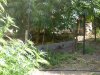 garden 2 003.JPG