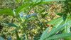 WP_20160819_002.jpg