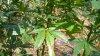 WP_20160819_003.jpg