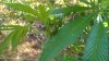 WP_20160819_004.jpg