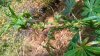 WP_20160819_005.jpg
