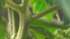 20160819_124238.jpg 20160819_124238.jpg
