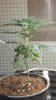 20160819_124349.jpg