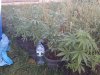 20160819_194528.jpg 20160819_194528.jpg
