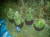 20160816_230037.jpg 20160816_230037.jpg