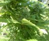 WP_20160819_10_36_13_Pro.jpg