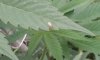 20160819_170155.jpg