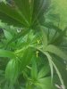 20160820_142835.jpg