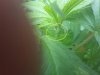 20160820_142701.jpg