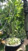 20160817_134942.jpg