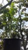20160817_135601.jpg