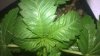 WP_20160822_16_26_57_Pro.jpg