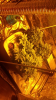 Screenshot_2016-08-22-12-43-59.png