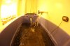 Reservoir Fill Up B.JPG