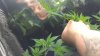 20160824_204224.jpg