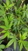 20160824_204147.jpg