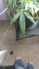 20160824_204138.jpg