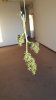 20160825_171609.jpg